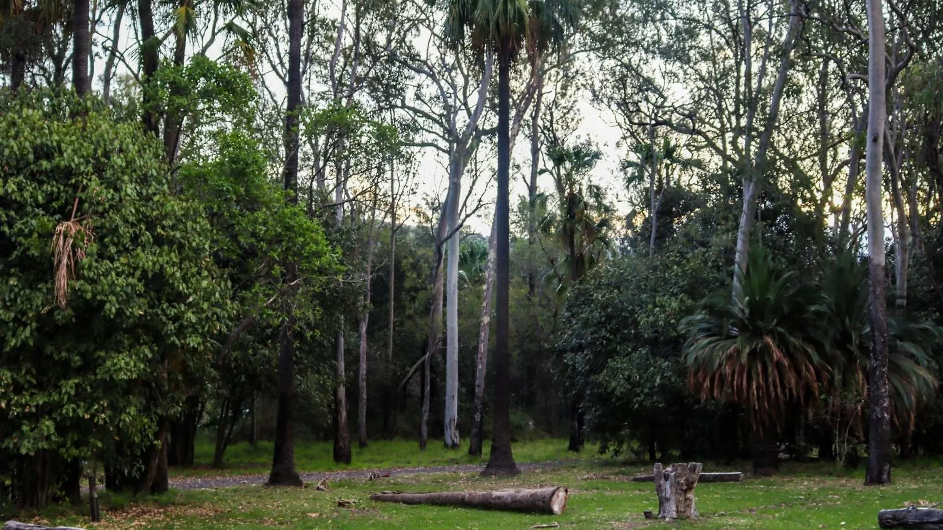 Big4 Breeze Holiday Parks - Carnarvon Gorge 0*,