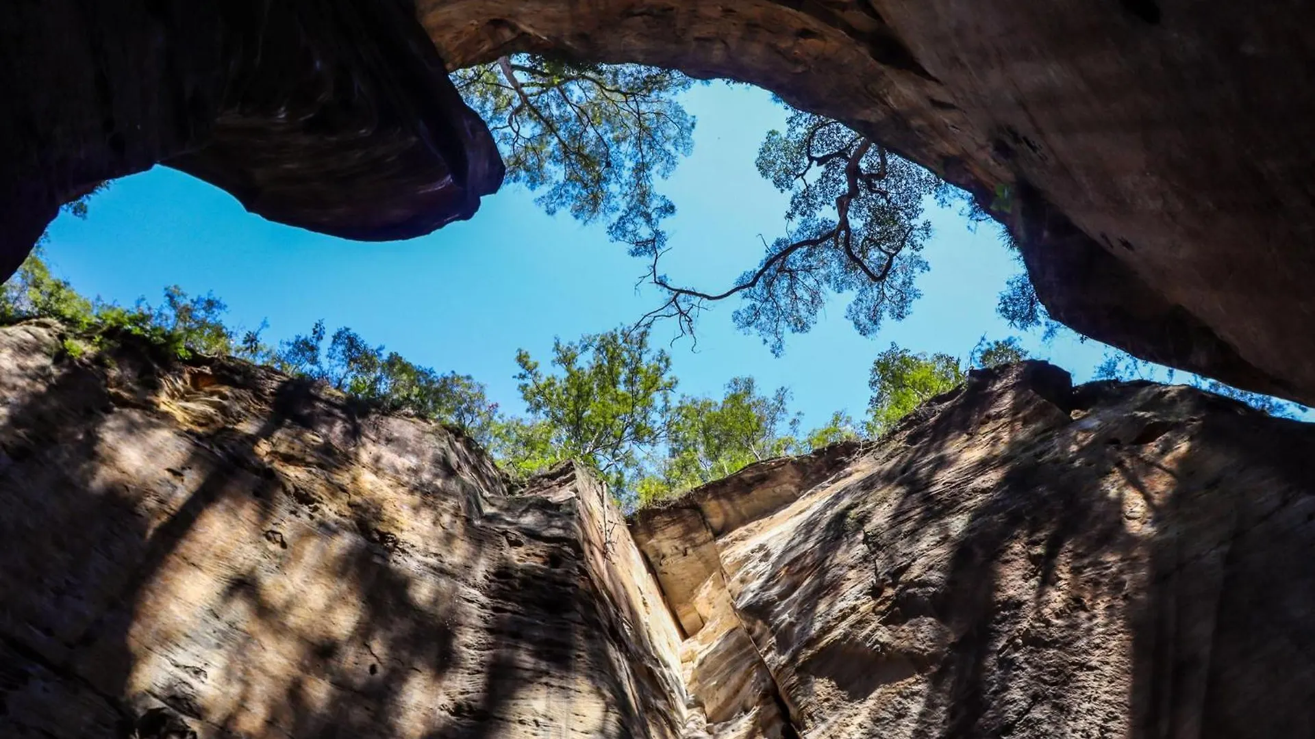Campsite Big4 Breeze Holiday Parks - Carnarvon Gorge
