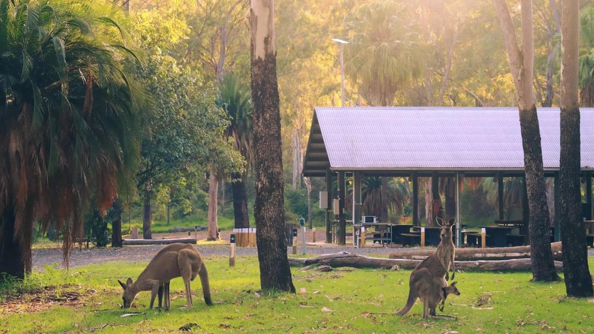 Big4 Breeze Holiday Parks - Carnarvon Gorge contacts