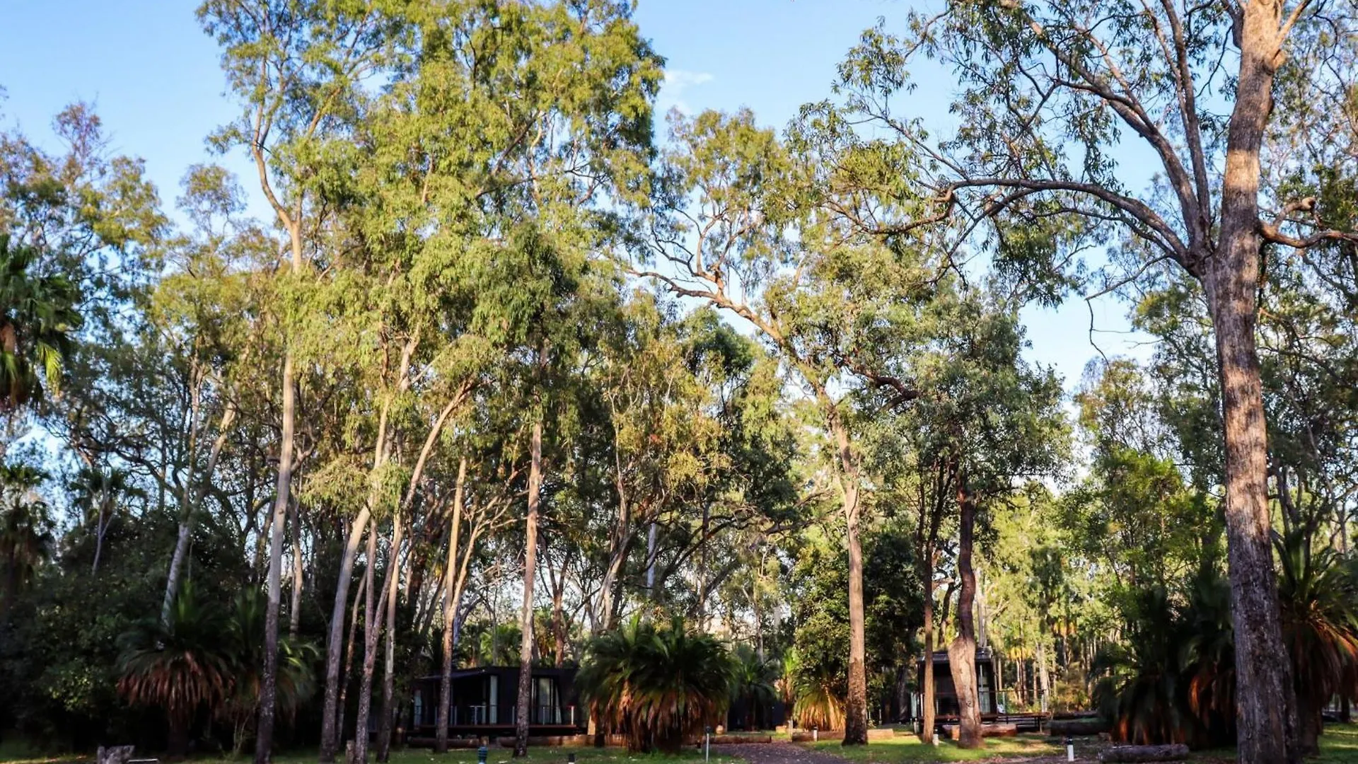 Big4 Breeze Holiday Parks - Carnarvon Gorge